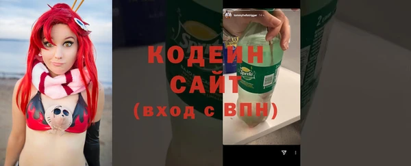 индика Киреевск