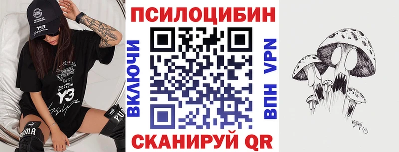 мега как зайти  shop формула  Псилоцибиновые грибы Cubensis  наркота  Ковдор 